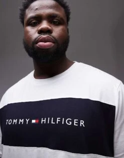Tommy Hilfiger Plus Original Block Logo T-shirt In White For Men -Tommy Hilfiger Store 206877156 4